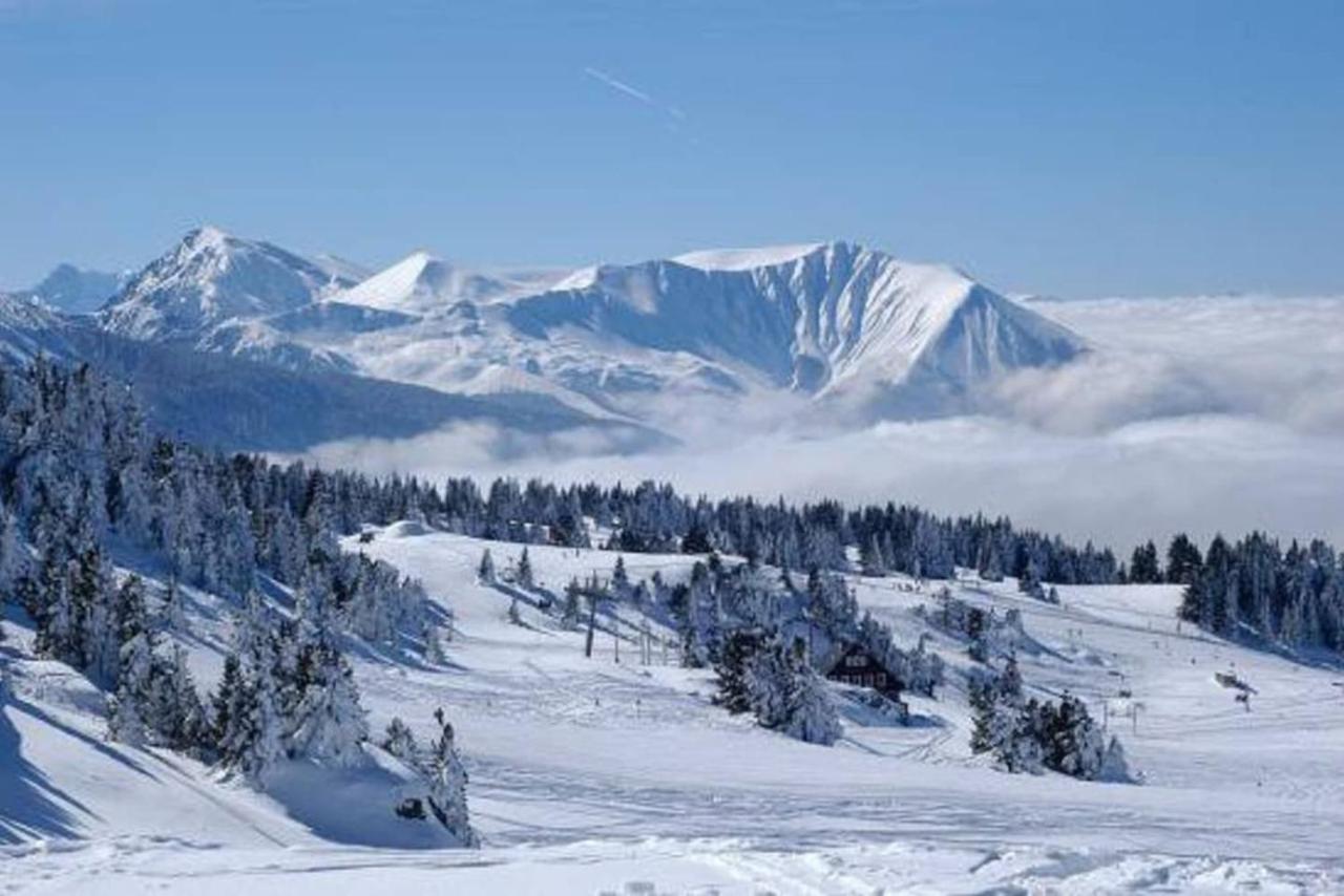 Charmant Studio Cabine Cocoon A 100 M Des Pistes Шамрусс Экстерьер фото